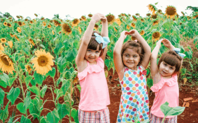 Skateboards, Sunflowers & Sibling Love 