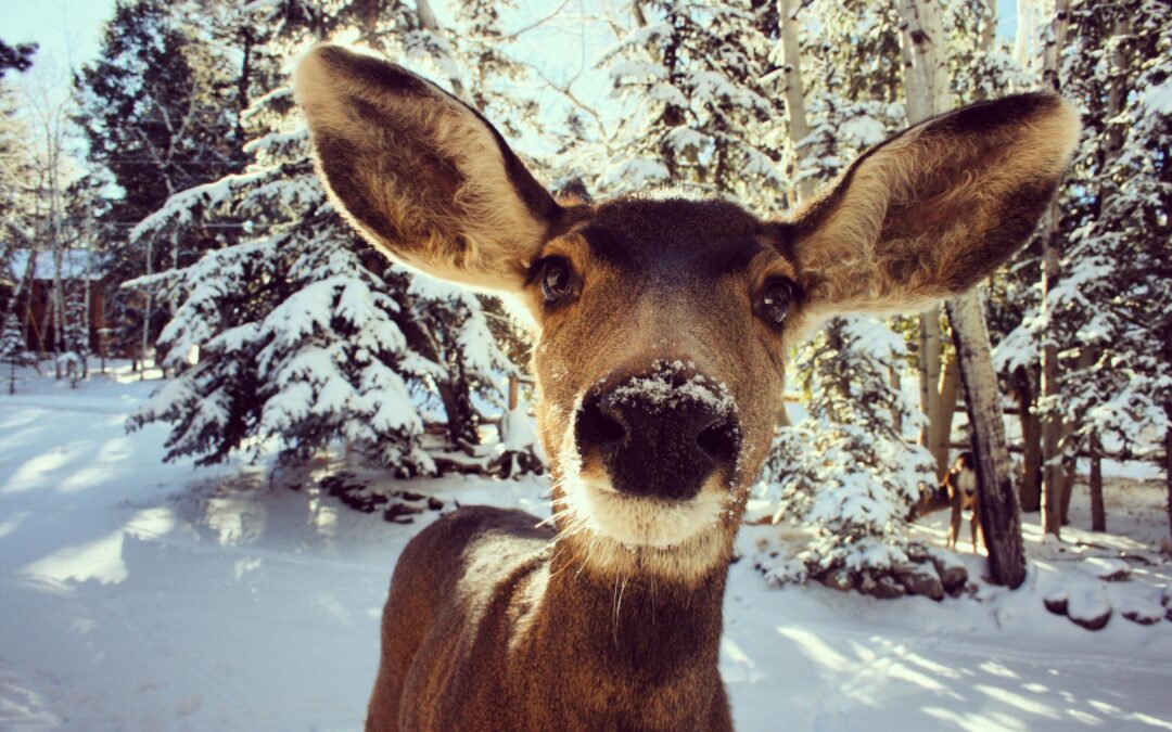 Finding Childcare That Works—for Our Kids and for Us