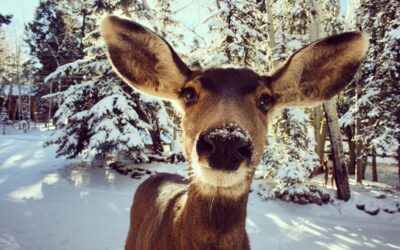 Finding Childcare That Works—for Our Kids and for Us